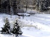 Winterzauber - zugefrorener Teich